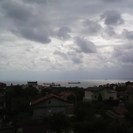 Roni Guest house 3*